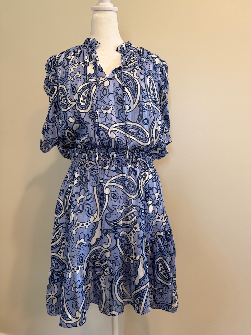 Joy Joy Blue and White Paisley Ruffle Neck Summer Dress